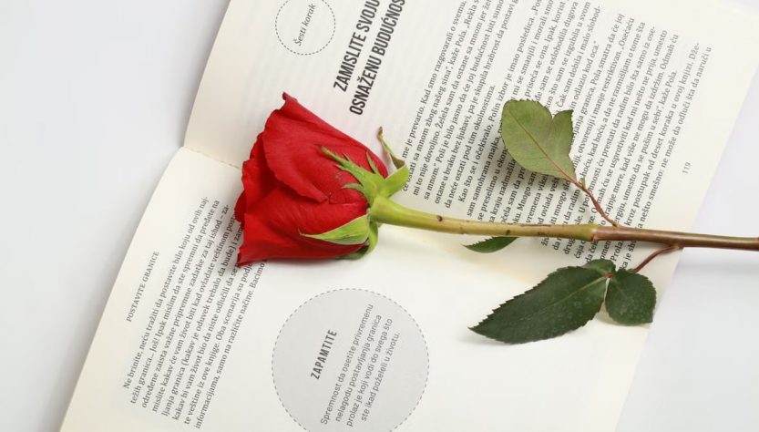 A vibrant red rose placed on an open book, symbolizing romance and literature.